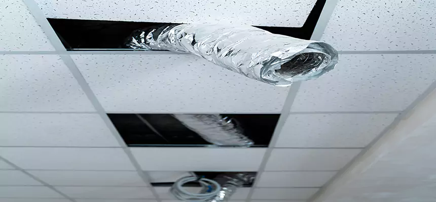 Affordable HVAC Sanitizing After Pest Removal in Rockville