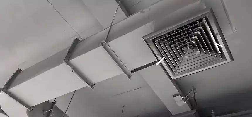 Restorative Allergy Relief Vent Cleaning – Coil, Blower & Housing Detail in Rockville