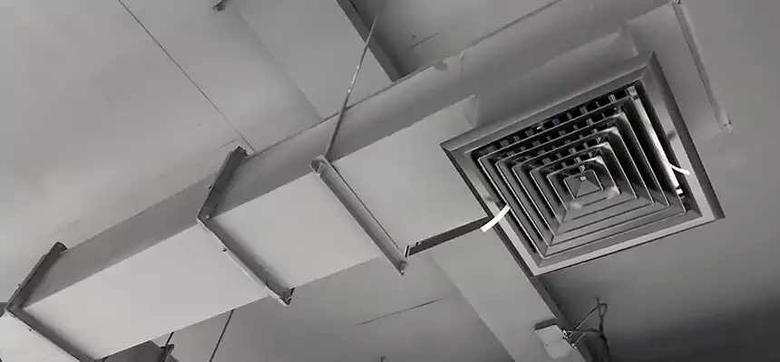 Our Rodent Droppings In Vents Services in Rockville, MD