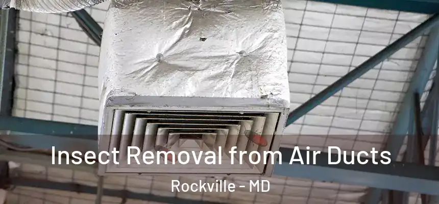 Insect Removal from Air Ducts Rockville - MD