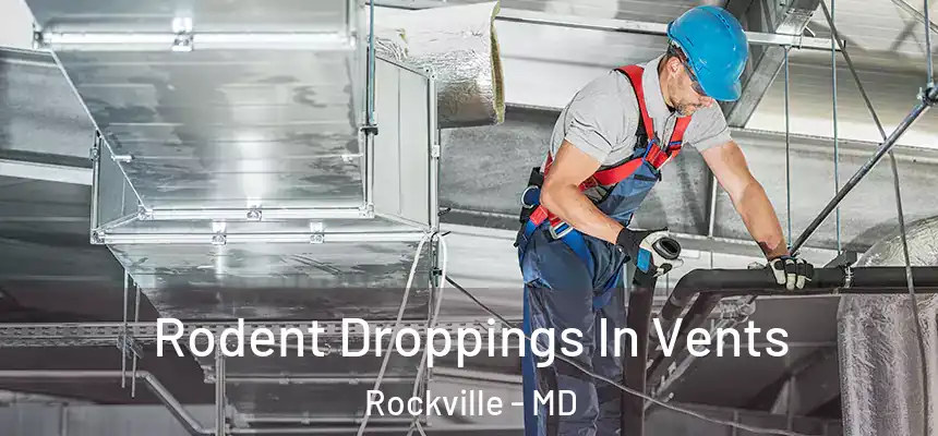 Rodent Droppings In Vents Rockville - MD