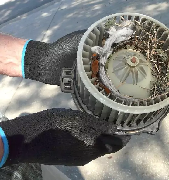 About Air Duct Rat Removal in Rockville, MD