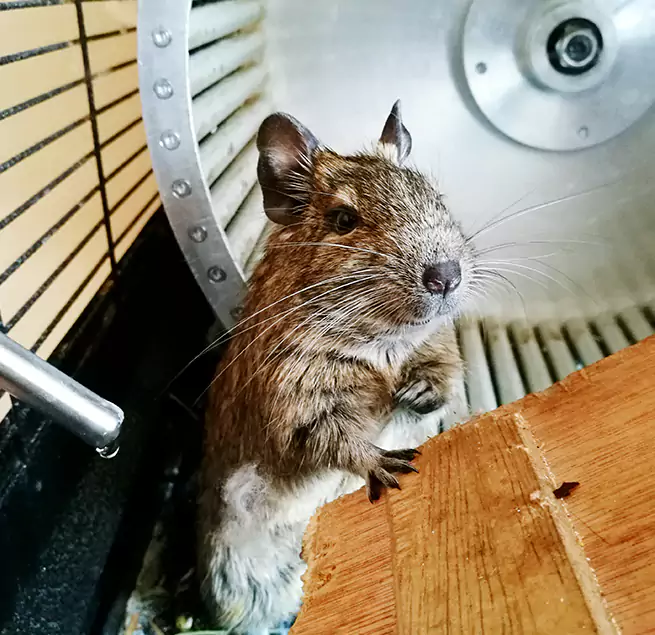 Why Homeowners & Businesses Trust Us Rockville, MD